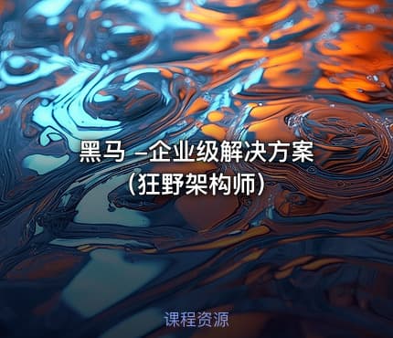 黑马 -企业级解决方案（狂野架构师）