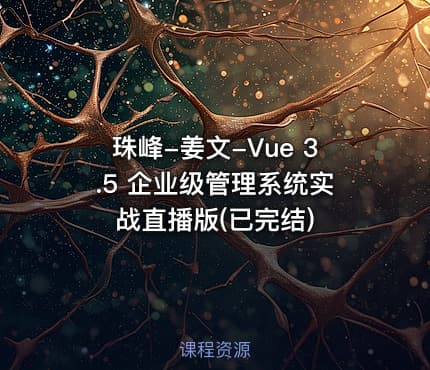 珠峰-姜文-Vue 3.5 企业级管理系统实战直播版(已完结)
