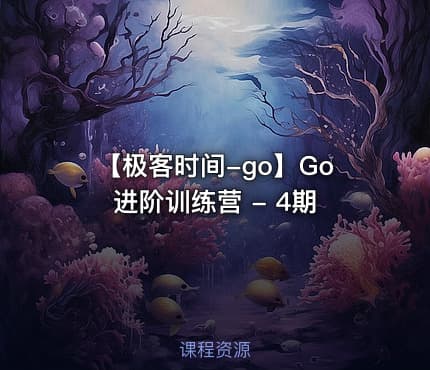 【极客时间-go】Go进阶训练营 - 4期