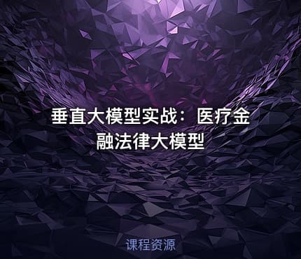 垂直大模型实战：医疗金融法律大模型