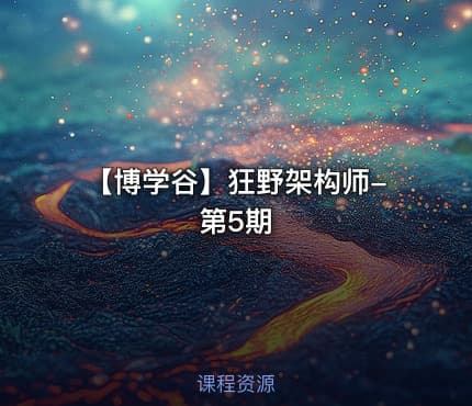【博学谷】狂野架构师-第5期
