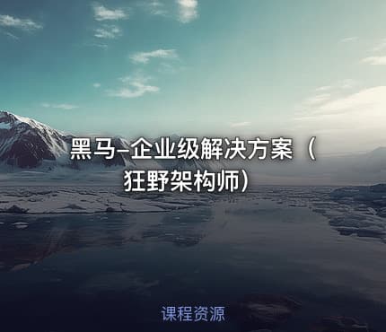 黑马-企业级解决方案（狂野架构师）