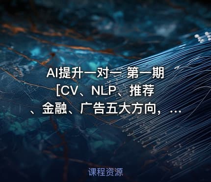 AI提升一对一 第一期 [CV、NLP、推荐、金融、广告五大方向，极速提升]