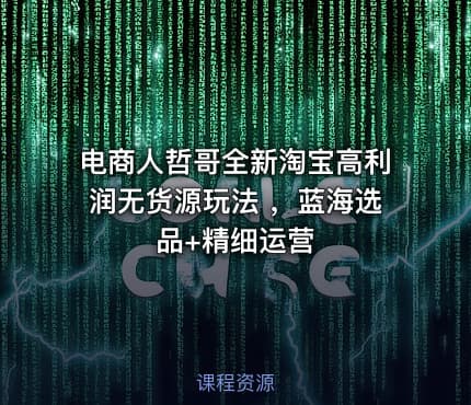 电商人哲哥全新淘宝高利润无货源玩法 ，蓝海选品+精细运营