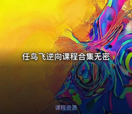任鸟飞逆向课程合集无密