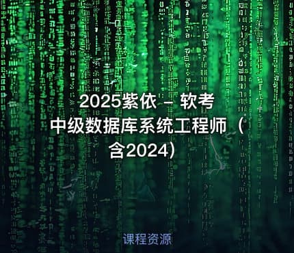 2025紫依 - 软考中级数据库系统工程师（含2024）