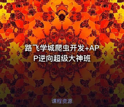 路飞学城爬虫开发+APP逆向超级大神班