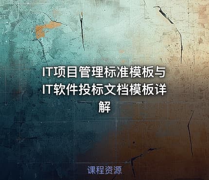 IT项目管理标准模板与IT软件投标文档模板详解
