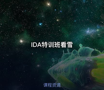 IDA特训班看雪
