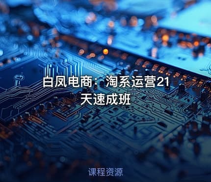 白凤电商：淘系运营21天速成班