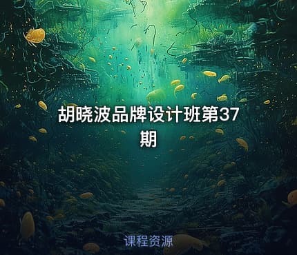 胡晓波品牌设计班第37期