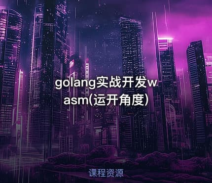 golang实战开发wasm(运开角度)