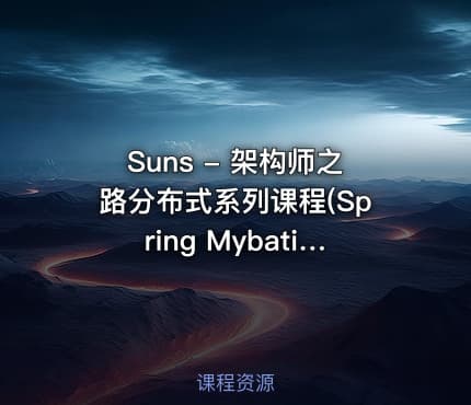Suns - 架构师之路分布式系列课程(Spring Mybatis Netty RPC) 价值数千元