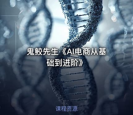 鬼鲛先生《AI电商从基础到进阶》