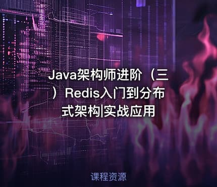 Java架构师进阶（三）Redis入门到分布式架构|实战应用