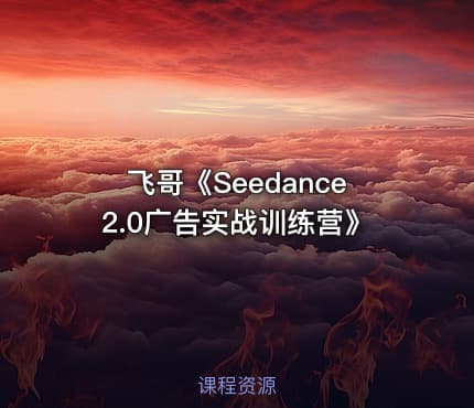 飞哥《Seedance2.0广告实战训练营》
