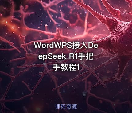 WordWPS接入DeepSeek R1手把手教程1