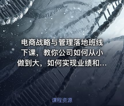 电商战略与管理落地班线下课，教你公司如何从小做到大，如何实现业绩和利润倍增