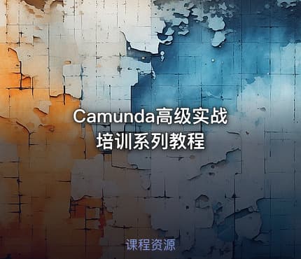 Camunda高级实战培训系列教程