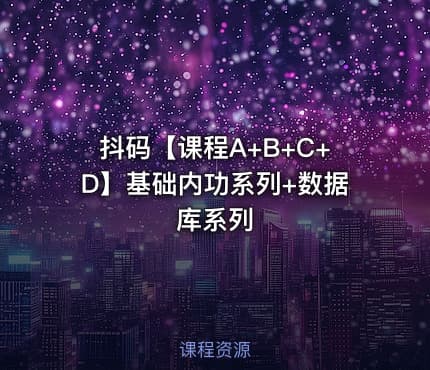 抖码【课程A+B+C+D】基础内功系列+数据库系列