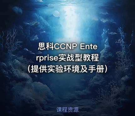 思科CCNP Enterprise实战型教程（提供实验环境及手册）