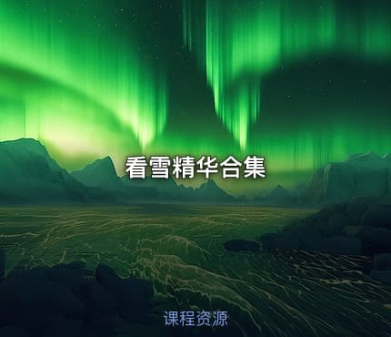 看雪精华合集