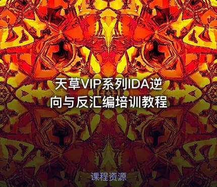 天草VIP系列IDA逆向与反汇编培训教程