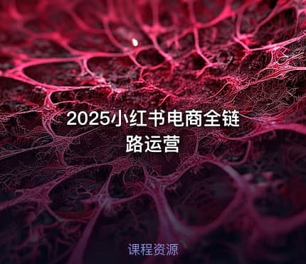 2025小红书电商全链路运营