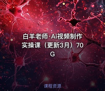 白羊老师·Ai视频制作实操课（更新3月）70G