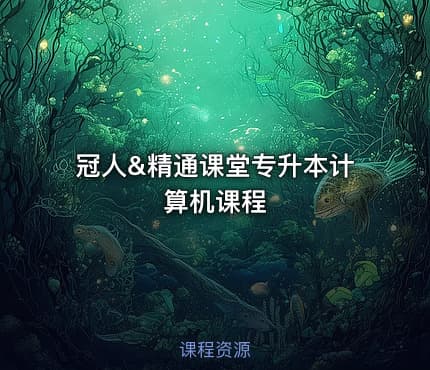 冠人&精通课堂专升本计算机课程