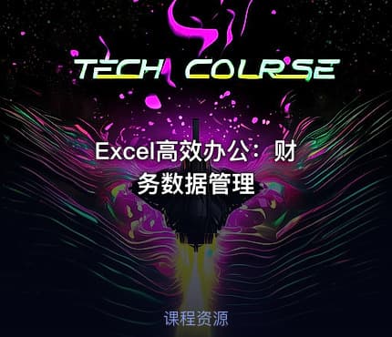 Excel高效办公：财务数据管理