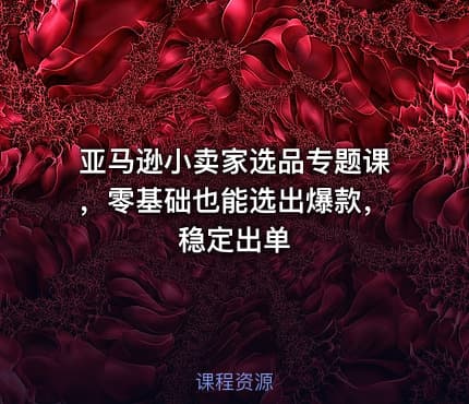 亚马逊小卖家选品专题课，零基础也能选出爆款，稳定出单