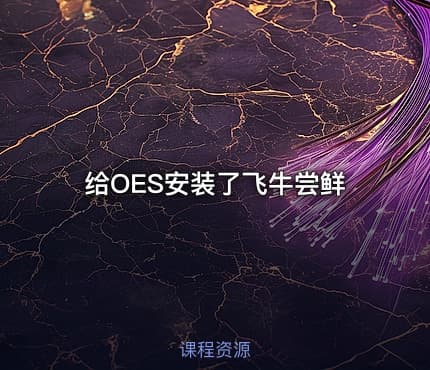 给OES安装了飞牛尝鲜