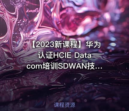 【2023新课程】华为认证HCIE Datacom培训SDWAN技术学习视频