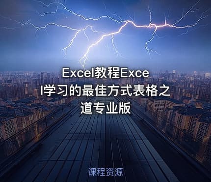 Excel教程Excel学习的最佳方式表格之道专业版