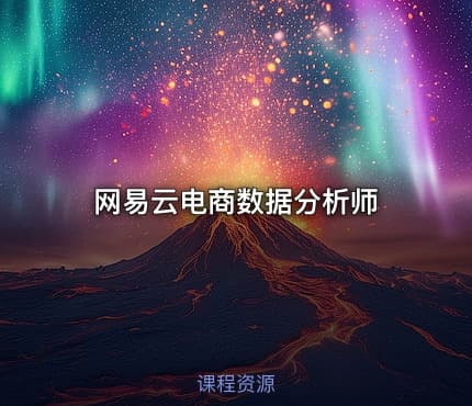 网易云电商数据分析师