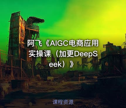 阿飞《AIGC电商应用实操课（加更DeepSeek）》