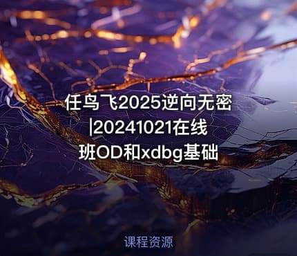 任鸟飞2025逆向无密|20241021在线班OD和xdbg基础