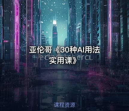 亚伦哥《30种AI用法实用课》