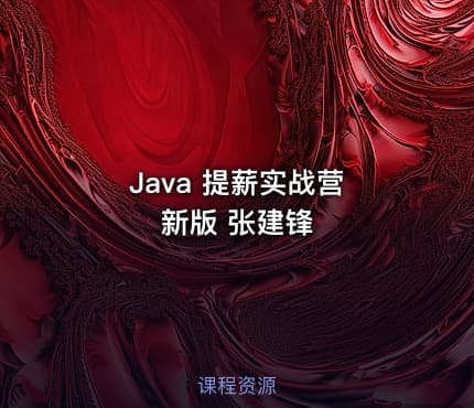 Java 提薪实战营 新版 张建锋