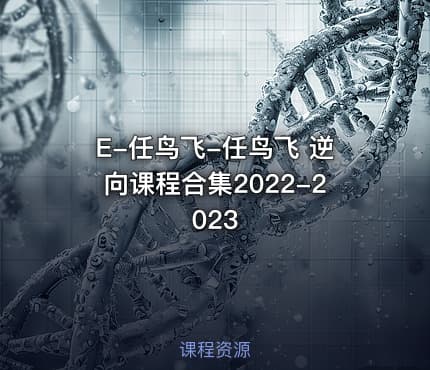 E-任鸟飞-任鸟飞 逆向课程合集2022-2023