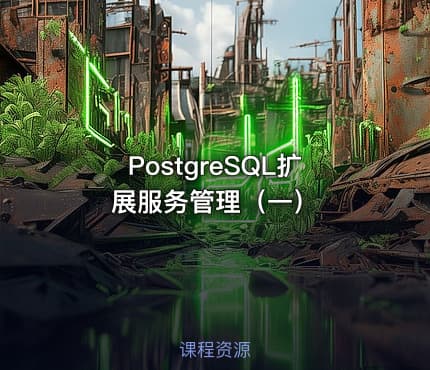 PostgreSQL扩展服务管理（一）