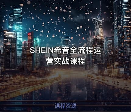 SHEIN希音全流程运营实战课程
