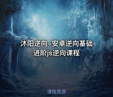 沐阳逆向-安卓逆向基础进阶js逆向课程