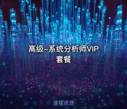 高级-系统分析师VIP套餐