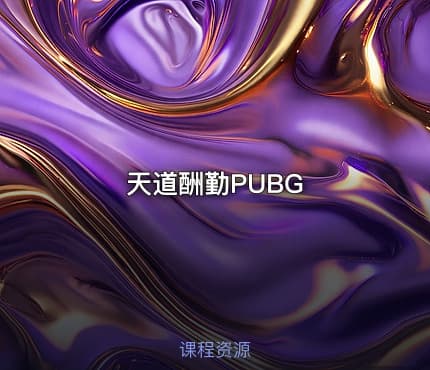天道酬勤PUBG