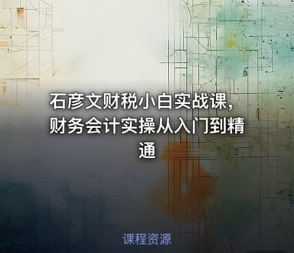 石彦文财税小白实战课，财务会计实操从入门到精通