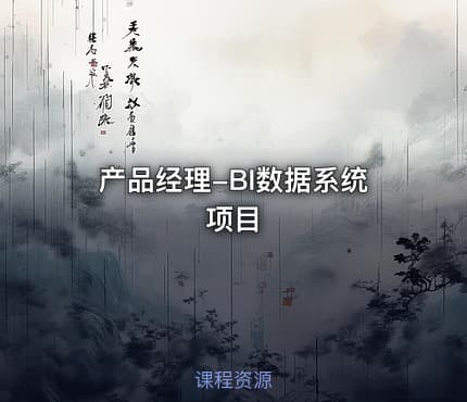 产品经理-BI数据系统项目