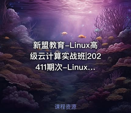 新盟教育-Linux高级云计算实战班|202411期次-Linux高级阶段-星海老师