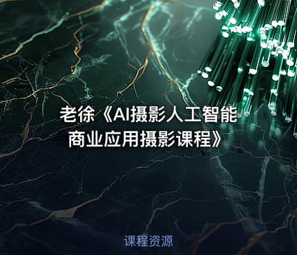 老徐《AI摄影人工智能商业应用摄影课程》